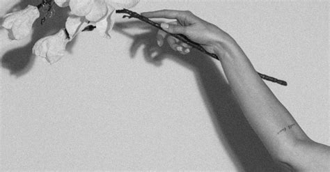 Black and White Photo of Hand Holding Branch of Flowers · Free Stock Photo