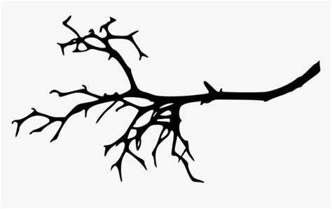 Tree Branch Silhouette Png - Tree Branch Vector Silhouette, Transparent Png - kindpng