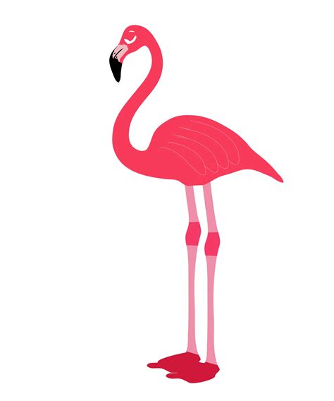 Cartoon Flamingo Images - ClipArt Best