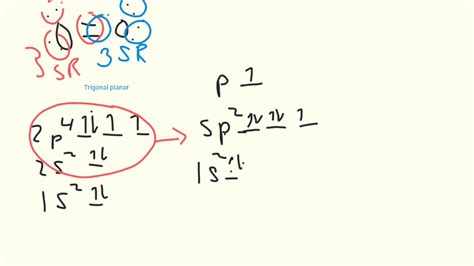 Hybridization Diagram