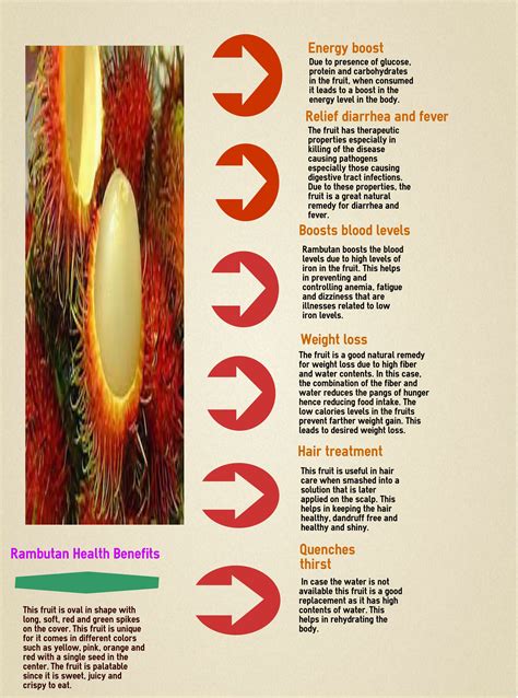 Health Benefits Rambutan Fruit - health benefits