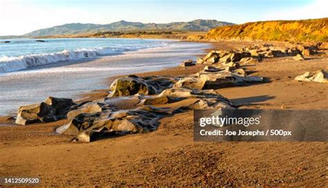 Cambria California Photos and Premium High Res Pictures - Getty Images