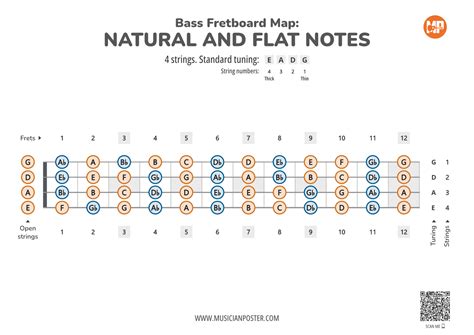 Bass Guitar Fretboard Map PDF With All Notes