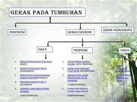 Peta Konsep Sistem Gerak Tumbuhan - IMAGESEE