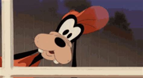 What The Hell Is Going On In Here Goofy GIF ...