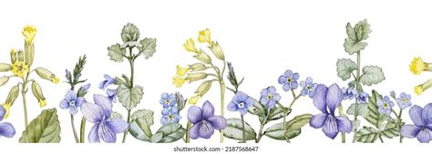 Watercolor Drawing Seamless Border Spring Flowers Stock Illustration 2187568647 | Shutterstock