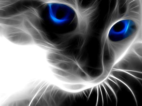 Cat 3D Wallpaper - Wallpapers Hero