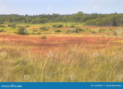 Birds Hill Provincial Park, Manitoba Stock Image - Image of path ...