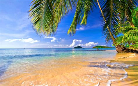 landscape, Tropical, Beach, Palm trees Wallpapers HD / Desktop and ...