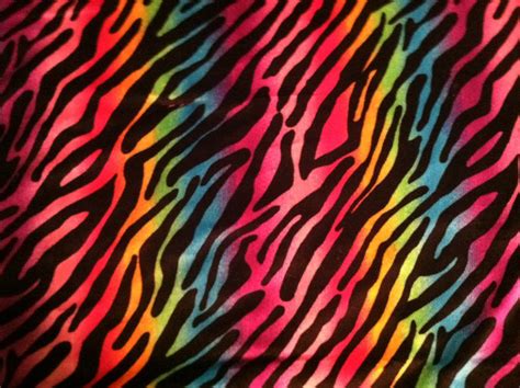 🔥 [50+] Rainbow Zebra Wallpapers | WallpaperSafari