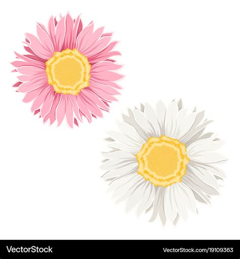 Yellow pink flowers Royalty Free Vector Image - VectorStock