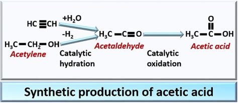 What is Acetic Acid Production? Definition, Process, Biosynthesis ...