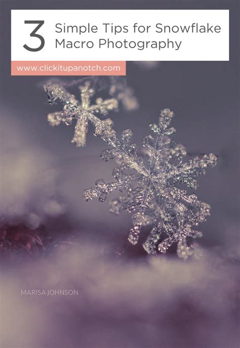 3 Simple Tips For Snowflake Macro Photography