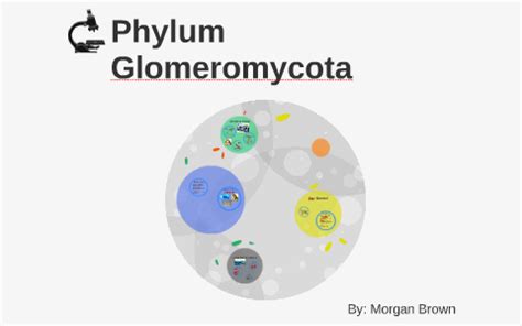 Glomeromycota by morgan brown on Prezi