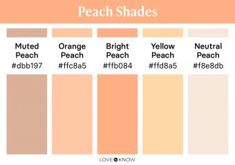 Use Peach-Colored Decor to Brighten Up Your Home | LoveToKnow