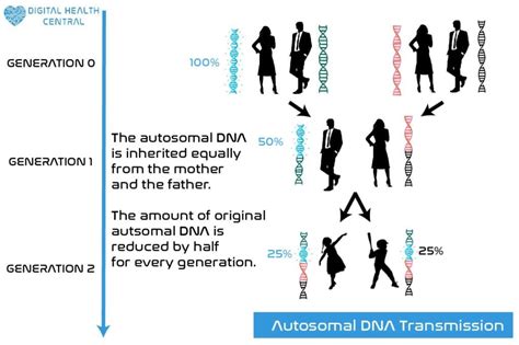 All you need to know about genealogical DNA tests? - Digital Health Central