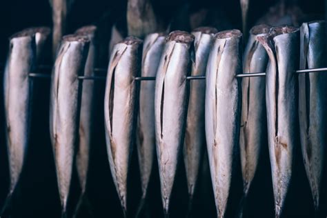 What is White Fish? The Main Types Explained | Fine Dining Lovers