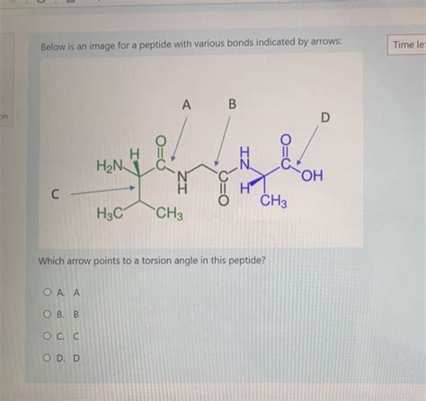 Solved Below is an image for a peptide with various bonds | Chegg.com