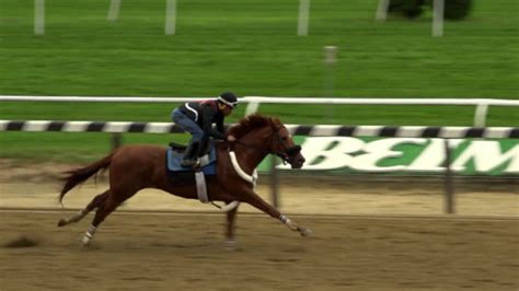 BC Sprint contender Mind Your Biscuits Works for trainer Chad Summers - YouTube