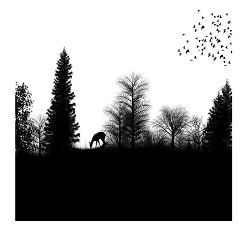 Silhouette Drawing Forest - Silhouette png download - 2896*2896 - Free Transparent Silhouette ...