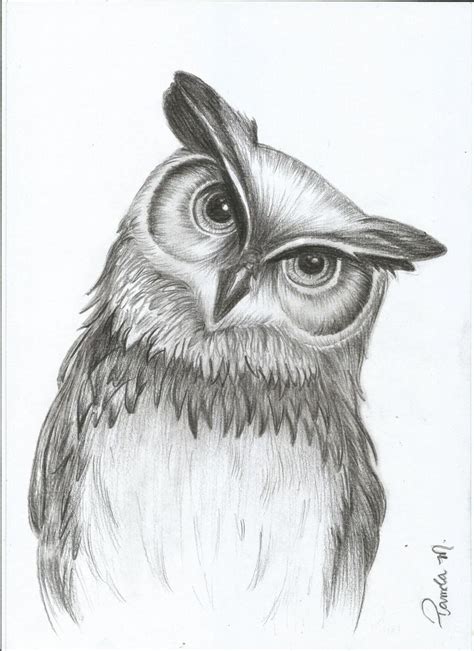 Pin by Franksimon on Eulen-tätowierungen | Owls drawing, Animal ...