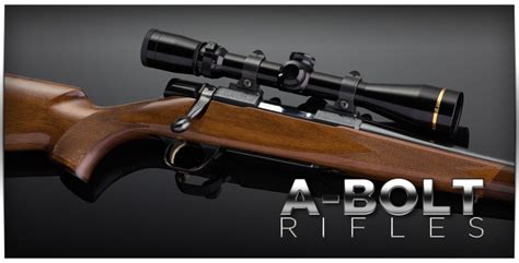 10 Best Bolt Action Big Game Hunting Rifles