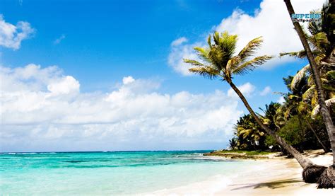 Caribbean Beach Wallpaper - WallpaperSafari