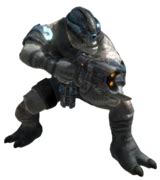 Jiralhanae armor - Halopedia, the Halo wiki