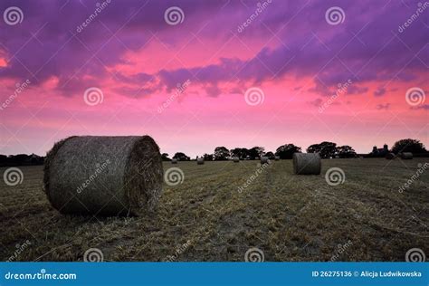 Straw Bales at sunset stock photo. Image of countryside - 26275136