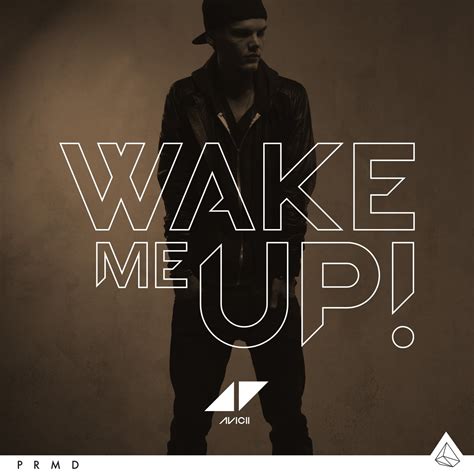 Avicii-Wake ME UP-2TR : Avicii: Amazon.fr: CD et Vinyles}