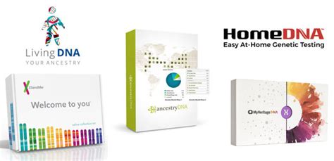 Top 5 Best Ancestry DNA Test Kits - DNA Testing Reviews & Discounts