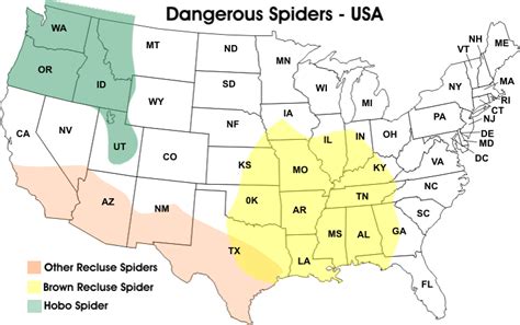 Black Widow Spider Map | Map Of Zip Codes