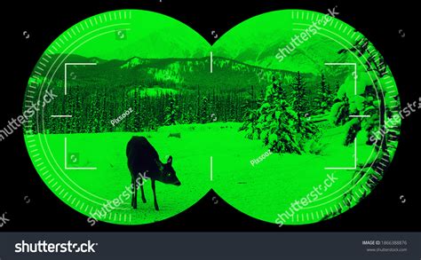 Night Vision Camera: Over 1,492 Royalty-Free Licensable Stock Photos | Shutterstock