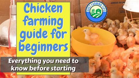 chicken-farming-guide-for-beginners | Best Farming Tips