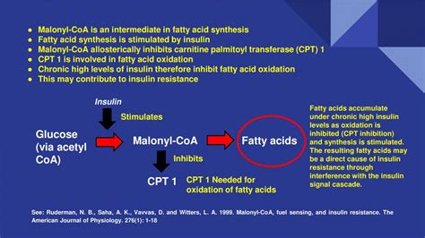 De Novo Lipogensis and Insulin Resistance