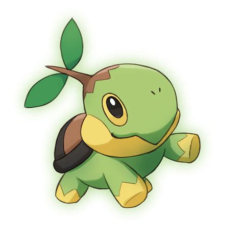 Turtwig - Pokémon - Zerochan Anime Image Board