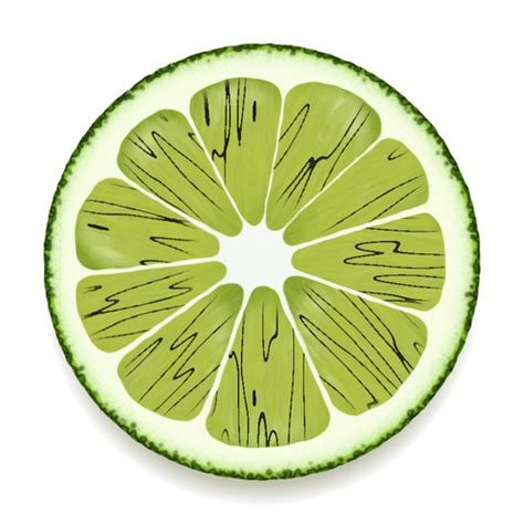 Lime slice vector drawing | Public domain vectors