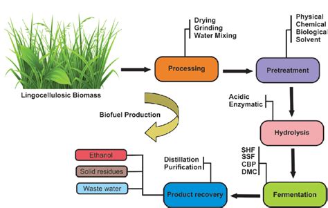 Schematic illustration of various processes/steps involved in biofuel... | Download Scientific ...