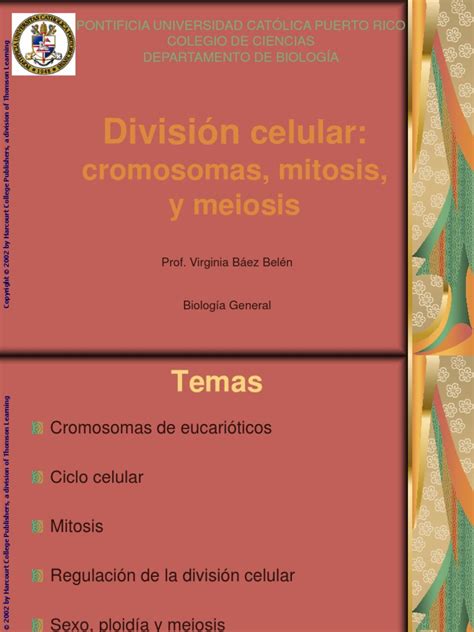 (PDF) Cromosomas, Mitosis y Meiosis - DOKUMEN.TIPS