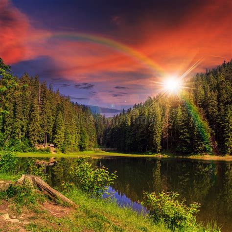 Pine Forest and Lake Near Mountain at Sunset Stock Photo - Image of ...