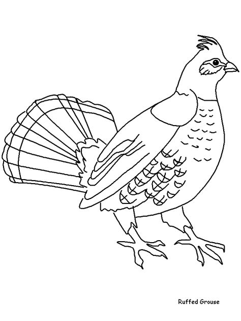 26 best ideas for coloring | Kansas State Bird Coloring Page