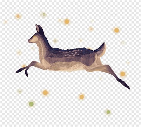 Deer Jumping Drawing