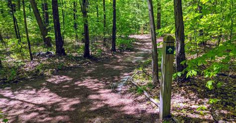 100 Acre Wood in Malta, NY: Enjoy a Walk Through the Scenic Trail System