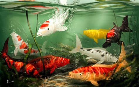 Koi Wallpapers - Top Free Koi Backgrounds - WallpaperAccess