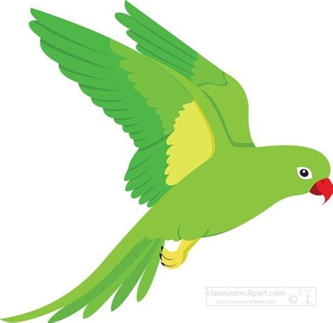 Parrot Clipart-green parrot clipart