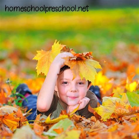 Amazing Activities and Resources for Your Preschool Leaf Theme | Autumn ...