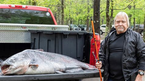 Mississippi man catches 131-pound catfish, sets state record | wwltv.com