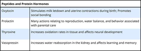 Hormones & Behavior | Noba