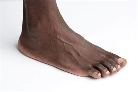 File:Foot on white background.jpg - Wikimedia Commons