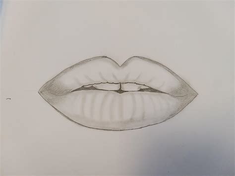 Reproduction of lips from a tutorial by Farjana Drawing Academy on YouTube! : r/drawing